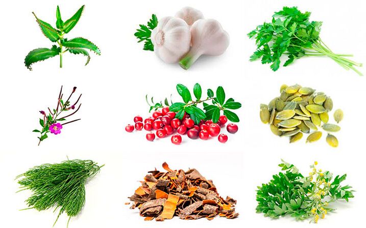 prostatitisaren tratamendurako folk erremedioak